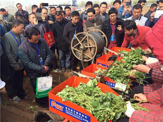 富来威甘薯移栽机获评2014应用贡献奖 富来威甘薯移栽机获评2014应用贡献奖