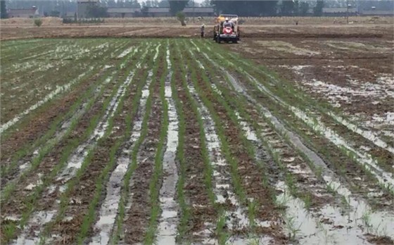 富来威优质服务获用户点赞 富来威优质服务获用户点赞