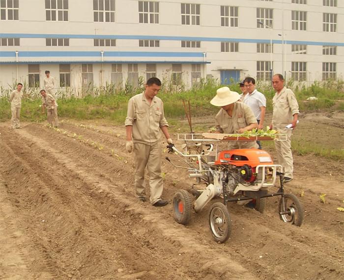 富来威2ZB-1自驱式移栽机在田间作业