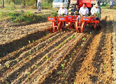 潜江农机局邀富来威共推蔬菜种植机械化