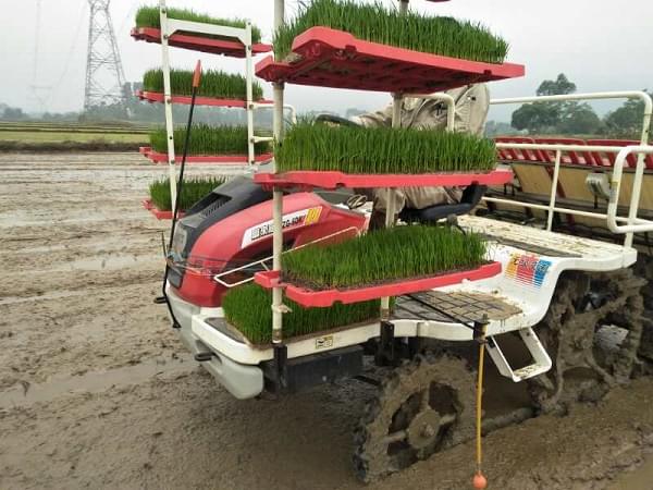 富来威密播稀植插秧机技术多地布点试验成功