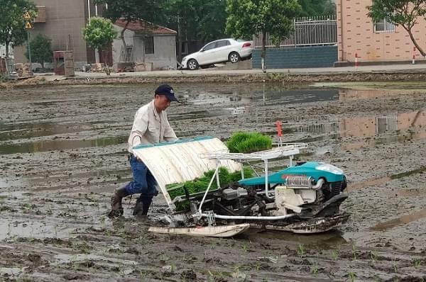 富来威密播稀植插秧机亮相南通石港