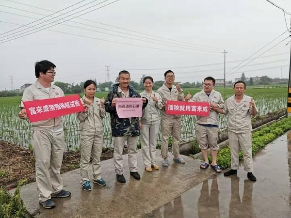 富来威密播稀植插秧新技术在杂交稻地区试验