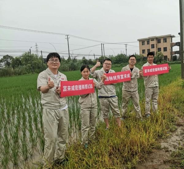 富来威水稻密播稀植现场观摩会即将召开